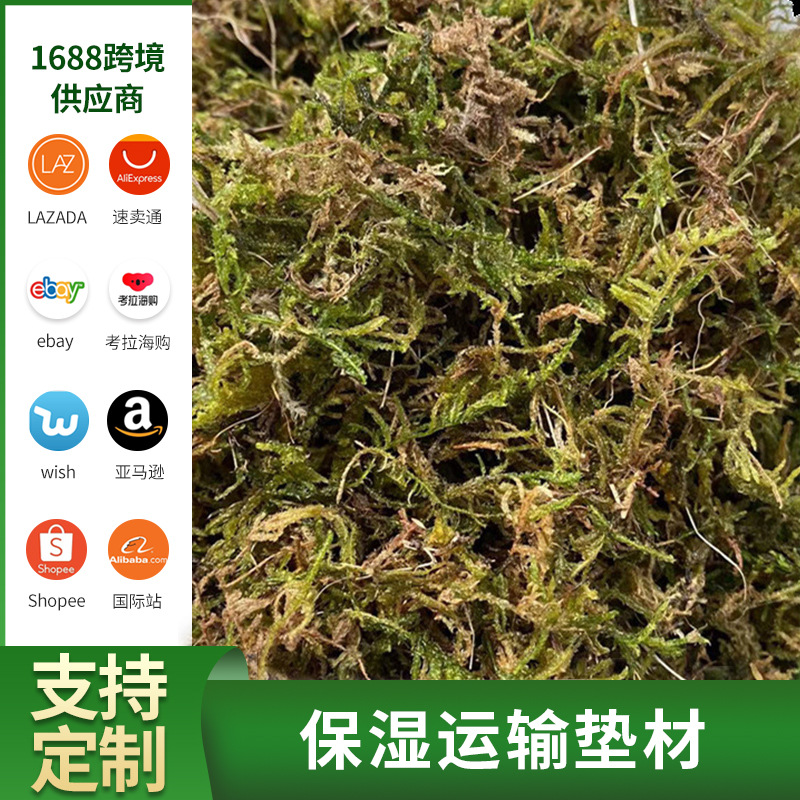 Dry moss, primary color, blue moss, butterfly flower, succu