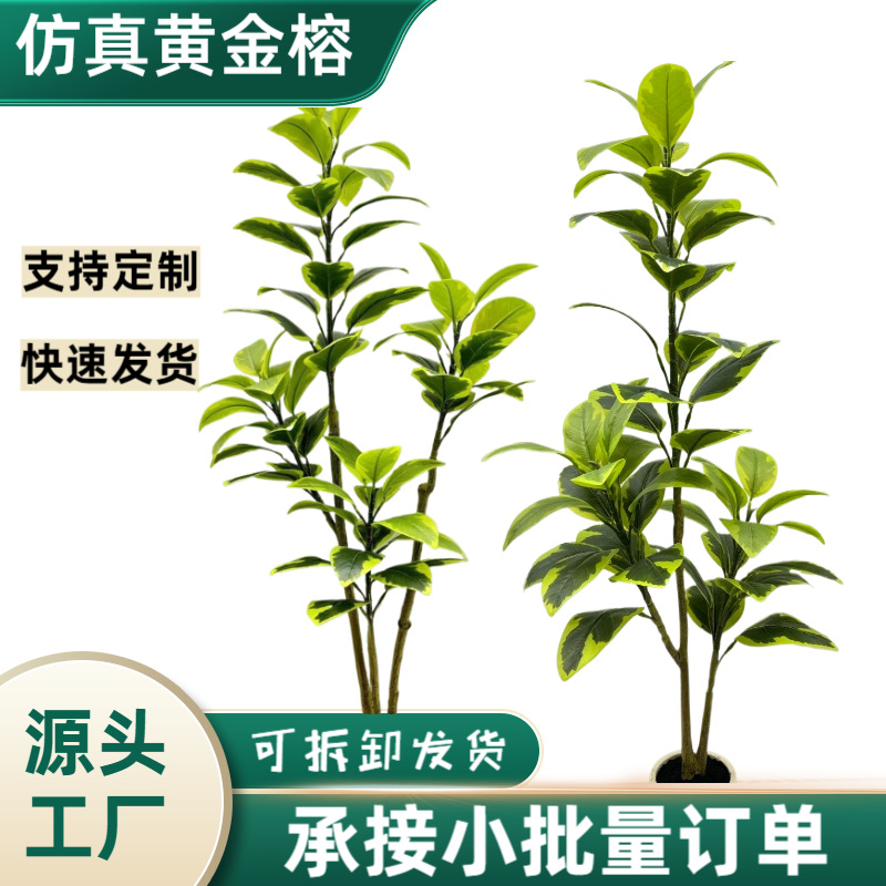 Wholesale of Nordic simulation plants, golden fig, simulati