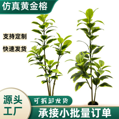 Wholesale of Nordic simulation plants, golden fig, simulati