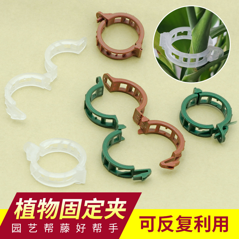 工具塑料夹子园林爬藤吊秧夹绑蔓夹西红柿大号植物固定夹园艺用品