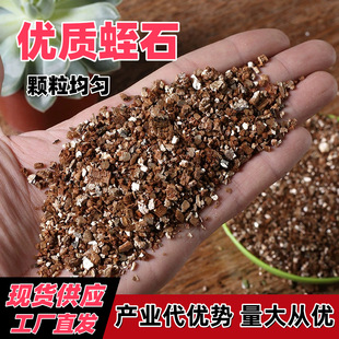 蛭石孵化园艺花卉多肉种植用暖宝宝防火涂料植物金黄色保温