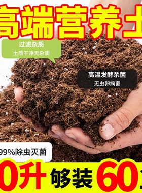 Nutritious soil, indoor, loose, breathable, universal, fluf