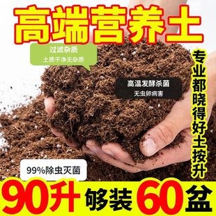 soil universal indoor breathable fluf loose Nutritious