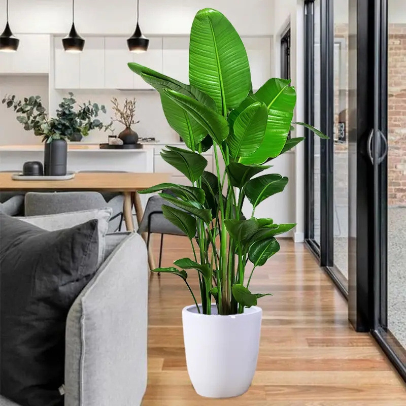 Large leaf plants, paradise birds, potted plants, crane sha