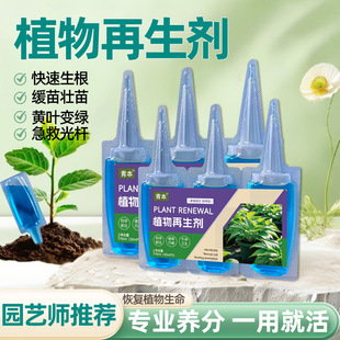 nutrient rejuvenator solution for pla Universal green plant