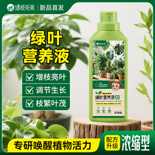leaf nutrient solution Aishang flowers green potted plant