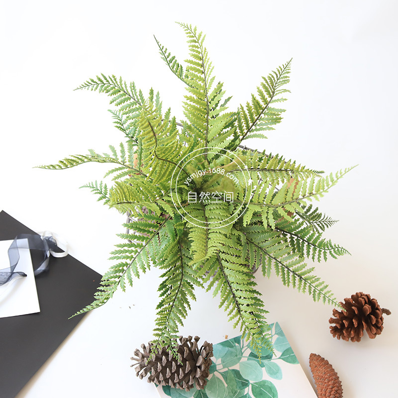 工具高仿真蕨类植物毛蕨叶波斯蕨假叶商业空间室内绿植装饰高档蕨