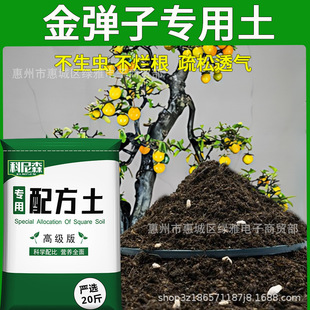 soil nutrient flower type plantin Golden vegetable marble