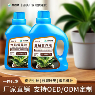 Aishangke Liquid Golden Nutrient Special Diamond Wholesale