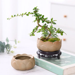 莲花粗陶素烧陶瓷绿植花盆透气文竹花卉盆栽花瓣盆景园艺艺术盆子