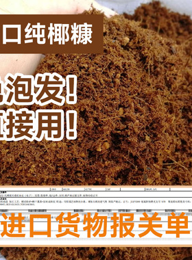 Wholesale import of Sri Ka planting and greening seedling s