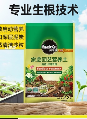 Seedling propagation, cutting, soil, small bags, nutrient s