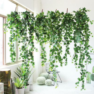 Simulated Vine Climbing Tiger Vine Haitang Leaf Evergreen V