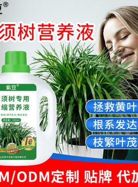 Purple Bean Dragon Beard Tree Special Concentrated Nutrient