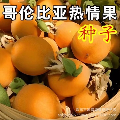 热情果种子四季播种阳台小院盆栽地栽简单夏季开花高产水果