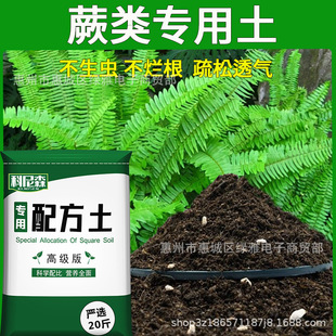 flower soil type vegetable flow Ferns planting nutrient