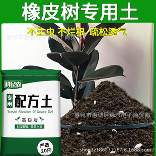 soil flower type Rubber planting nutrient vegetable tree