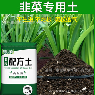 flower soil type vegetable flow Leek planting nutritious