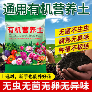 soil specific flower vegetable cult type Nutritious