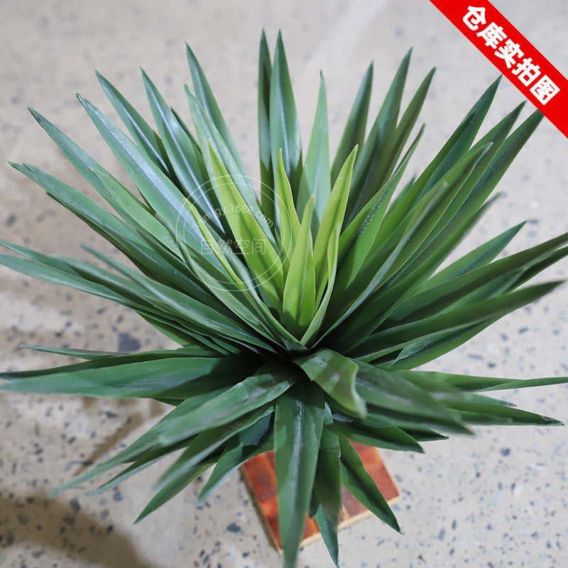 工具沙漠仿真绿植景观装饰造景沙生植物软胶千手剑麻龙舌