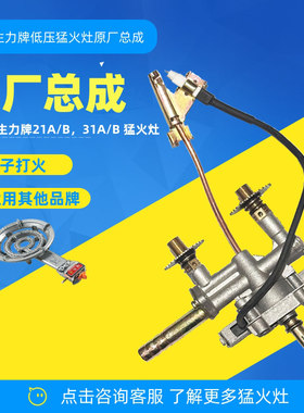生力总成液化气正品原厂点火器