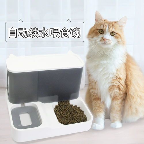 Кошачья чаша пищевая бассейн с двойной миской автоматической кормушкой, интегрированная кошка, собака питьевая вода, чаша, рисовая чаша для кошки и питовые принадлежности для собак