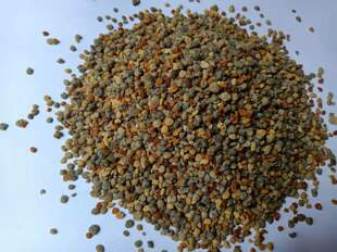 贝儿蜜蜂店蜂产品蜂花粉野豌豆花粉试吃杂花粉250克