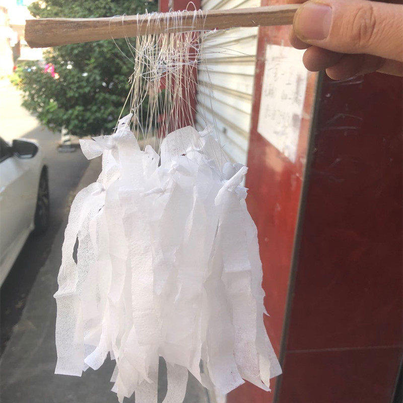 50枚马蜂追踪黄脚黑盾红娘