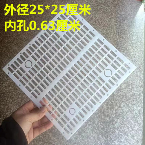 黄脚胡蜂控王片葫芦胡蜂控王