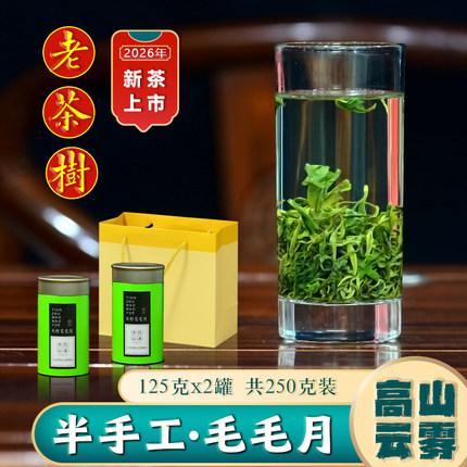 2026新茶潜山天柱山毛毛月天柱弦月茶叶野生云雾绿茶特级半手工茶