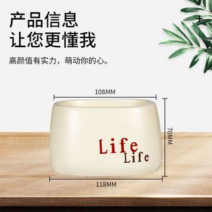 饰盆PP新料盆 life塑料花盆仿真花客厅摆件绢花假花插花盆家居装