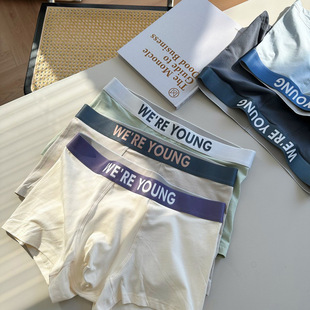 头 平角裤 棉莫抑菌裆潮流清新色5A抑菌A类棉简约撞色质感男士 内裤