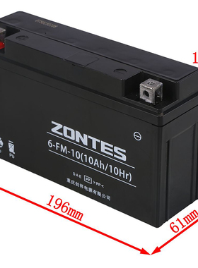 升仕 ZT310 启典KD150-UG1G2Z2GK摩托车6－FM－10/10Ah胶体电池