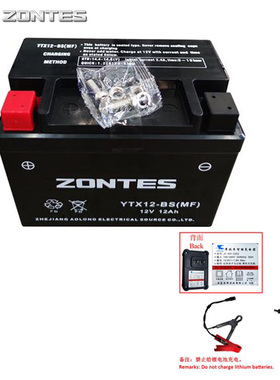 升仕ZT350/310/150T-DEM踏板摩托车胶体电池电瓶充电器电池盒配件