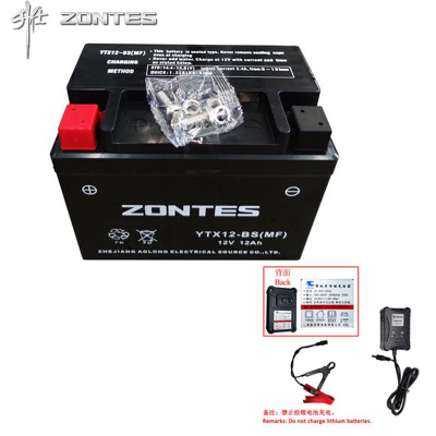 ZONTES蓄电池升仕踏板车电瓶