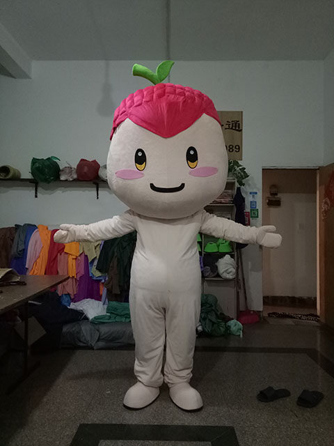 水果卡通服来图定做荔枝人穿玩偶服装成人植物表情头套布偶摆件