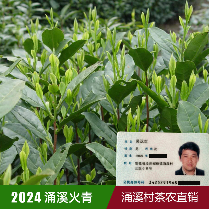 云雾安徽泾县特产500g兰香茶叶