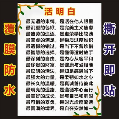 人生感悟活明白再不开窍就晚了经典语录参照图画海报墙不干胶贴纸