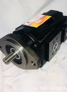 齿轮泵1PFG3-308/019L*20VRK 1PF2G2-40B/019RN20VHL议价