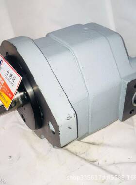 供应长江双联泵GSA3063/CBXF3016-124R议价