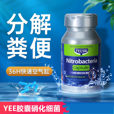 YEE硝化细菌净水真正产酶菌