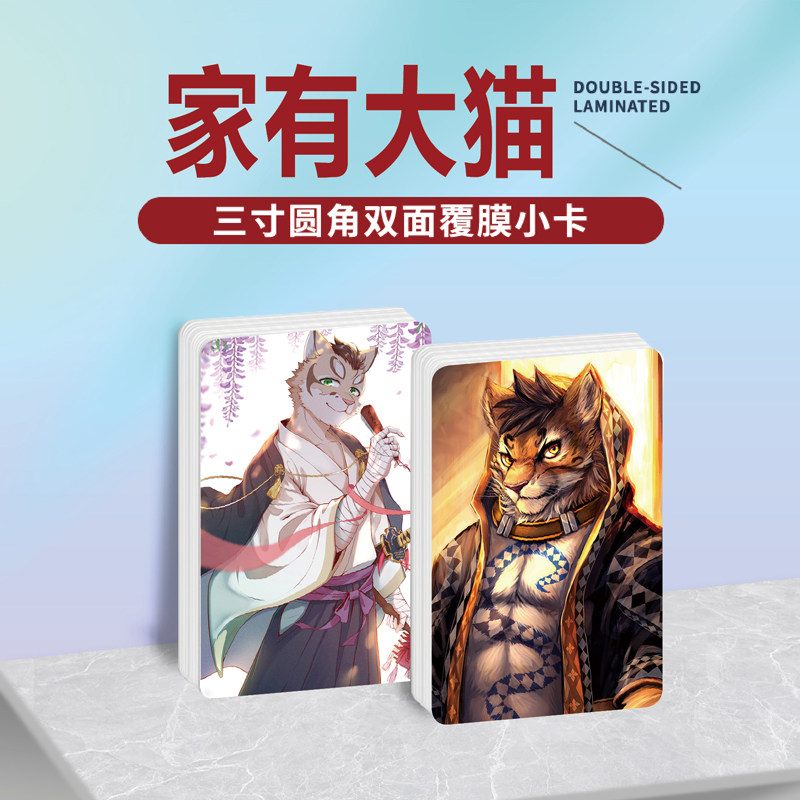 家有大猫镭射小卡贴纸照片