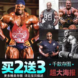 罗尼库尔曼海报乔卡特健美先生施瓦辛格健身房墙贴宿舍壁纸装饰画