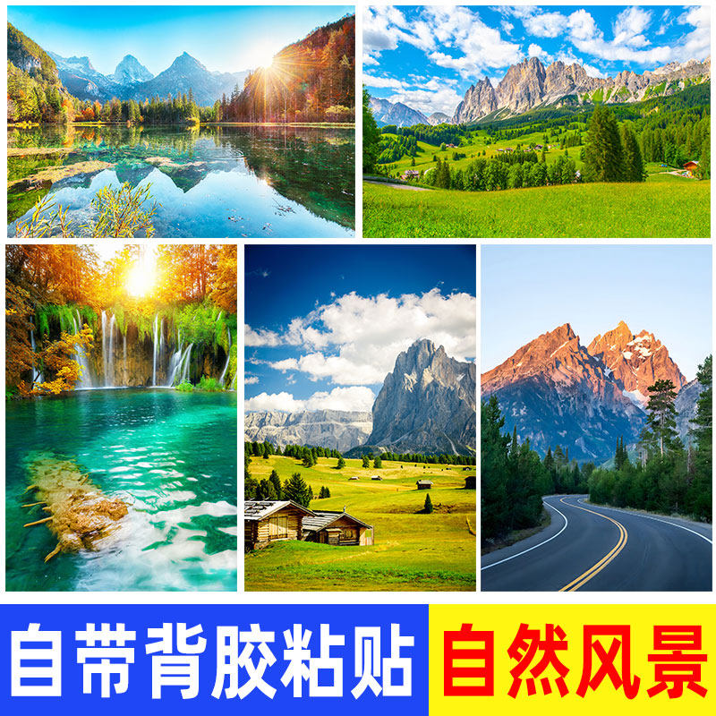 森林风景树木草地湖泊树林绿色大自然墙贴海报壁纸贴画客厅装饰画