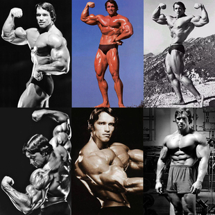 阿诺德·施瓦辛格海报定做健身馆健美先生肌肉装饰宿舍房间墙贴画