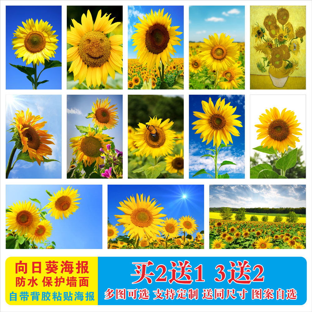向日葵背景太阳海报玻璃贴纸