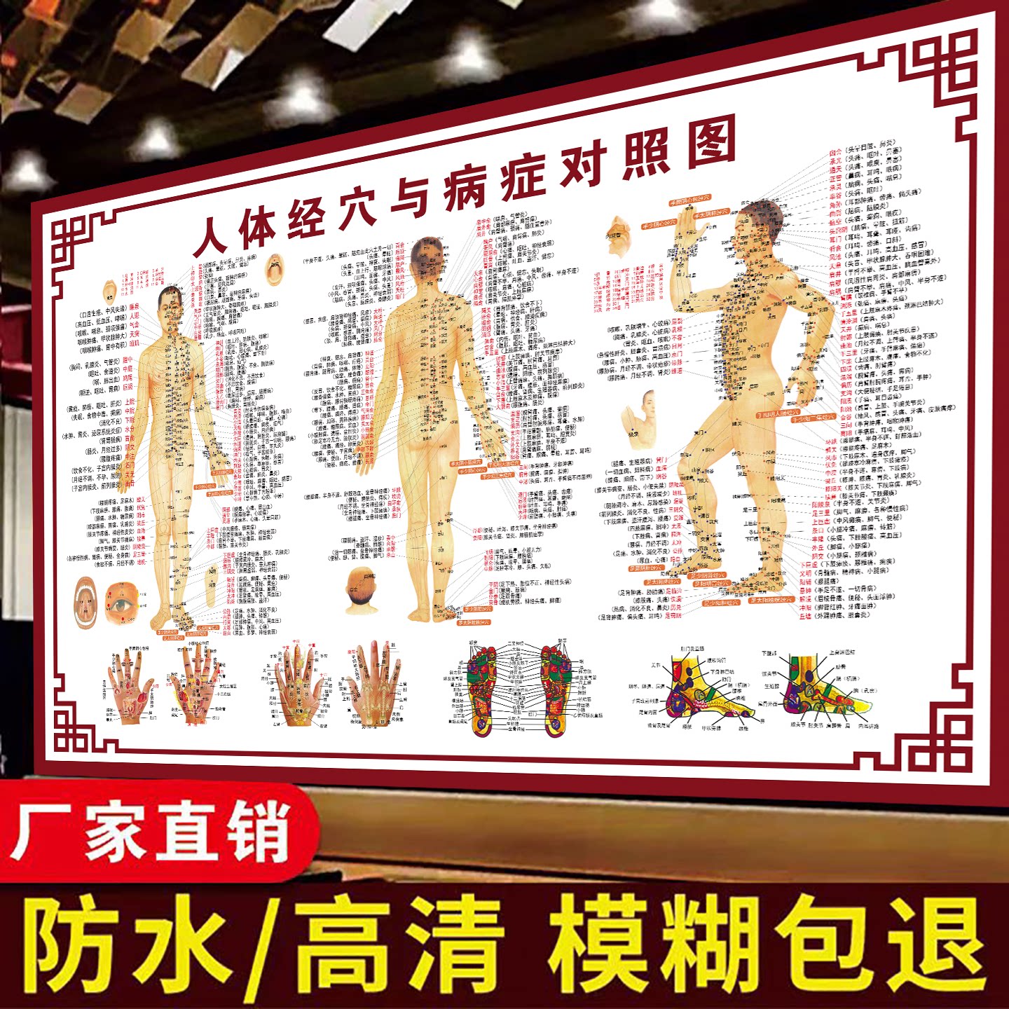 人体经络穴位标准大图挂图全身高清中医养生海报艾灸推拿挂画KT板