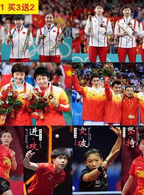 乒乓球运动员球室海报体育明星马龙陈梦许昕林高远墙贴纸背胶挂画