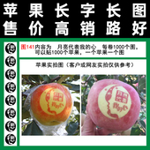 胶带式 图141月亮代表我 促销 包邮 每卷一千个 心字帖辰时果贴