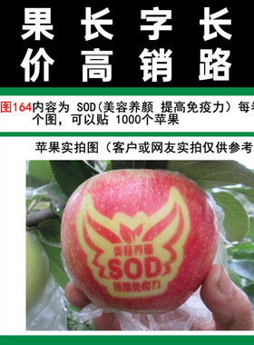 红富士艺术164sqd胶带苹果贴字